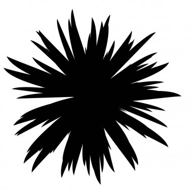 Siyah ve beyaz çiçekler siluet