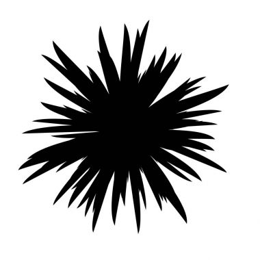 Siyah ve beyaz çiçekler siluet