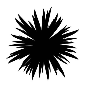 Siyah ve beyaz çiçekler siluet