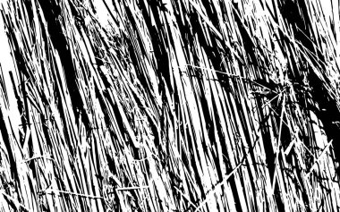 Siyah ve beyaz çim siluet doku rustik arka plan