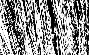 Siyah ve beyaz çim siluet doku rustik arka plan