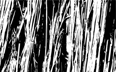 Siyah ve beyaz çim siluet doku rustik arka plan