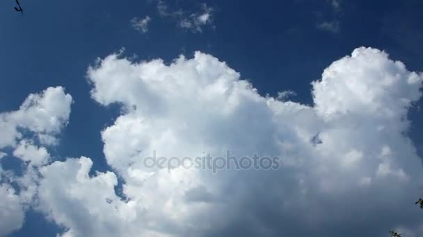 Nubes Corriendo Través Del Cielo Azul Timelapse Vast Puffy Fluffy — Vídeos de Stock