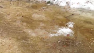 Akış aşağı bir bahar orman içinden akan, küçük nehir kar erime, eriyen su hareketli buz erime bahar sezonunda çözdürme çözdürme su