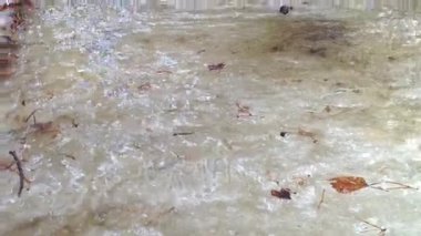 Akış aşağı bir bahar orman içinden akan, küçük nehir kar erime, eriyen su hareketli buz erime bahar sezonunda çözdürme çözdürme su