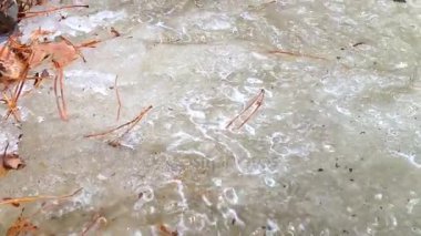 Akış aşağı bir bahar orman içinden akan, küçük nehir kar erime, eriyen su hareketli buz erime bahar sezonunda çözdürme çözdürme su