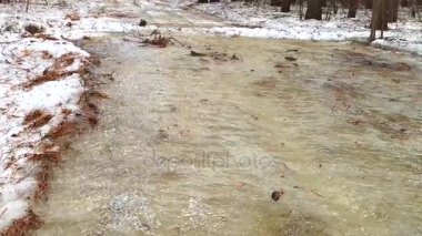 Akış aşağı bir bahar orman içinden akan, küçük nehir kar erime, eriyen su hareketli buz erime bahar sezonunda çözdürme çözdürme su