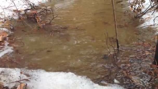 Stroom Van Ontdooien Water Stroomt Omlaag Door Een Bos Van — Stockvideo