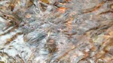 Akış aşağı bir bahar orman içinden akan, küçük nehir kar erime, eriyen su hareketli buz erime bahar sezonunda çözdürme çözdürme su