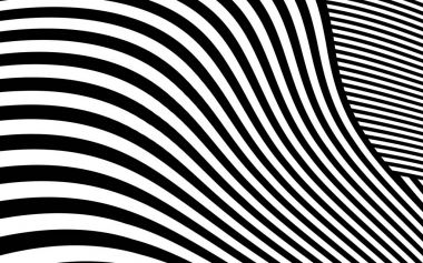 Zebra siyah ve beyaz çizgili vektör tasarımı