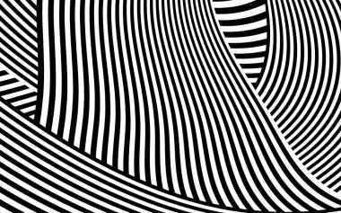 Zebra siyah ve beyaz çizgili vektör tasarımı
