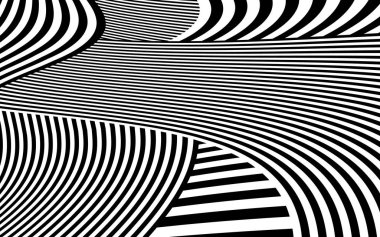 Zebra siyah ve beyaz çizgili vektör tasarımı