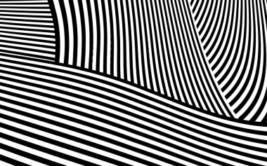Zebra siyah ve beyaz çizgili vektör tasarımı