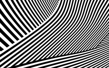 Zebra siyah ve beyaz çizgili vektör tasarımı