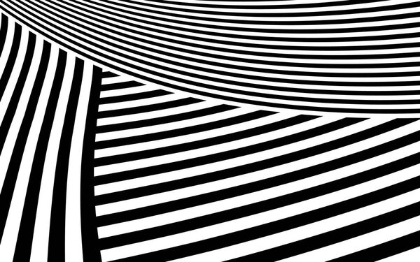 Zebra Design Black and White Stripes Vector
