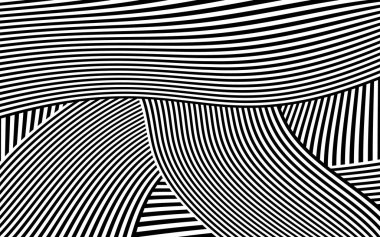 Zebra siyah ve beyaz çizgili vektör tasarımı