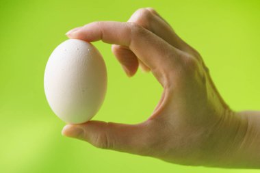 Tutan el bir çiğ tavuk yumurta