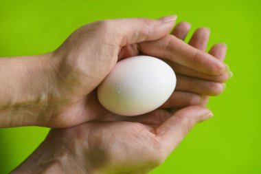 Tutan el bir çiğ tavuk yumurta