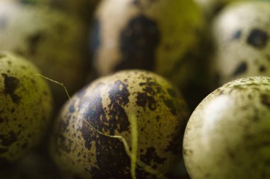 bıldırcın yumurtası sepeti