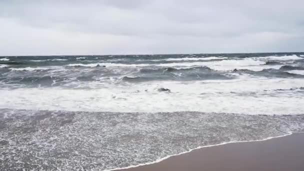 Meereskuste Stockvideos Lizenzfreies Meereskuste Filmmaterial