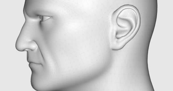 可旋转360度动画 白色人体模型假头 偏头痛 认知心理学 — 图库视频影像