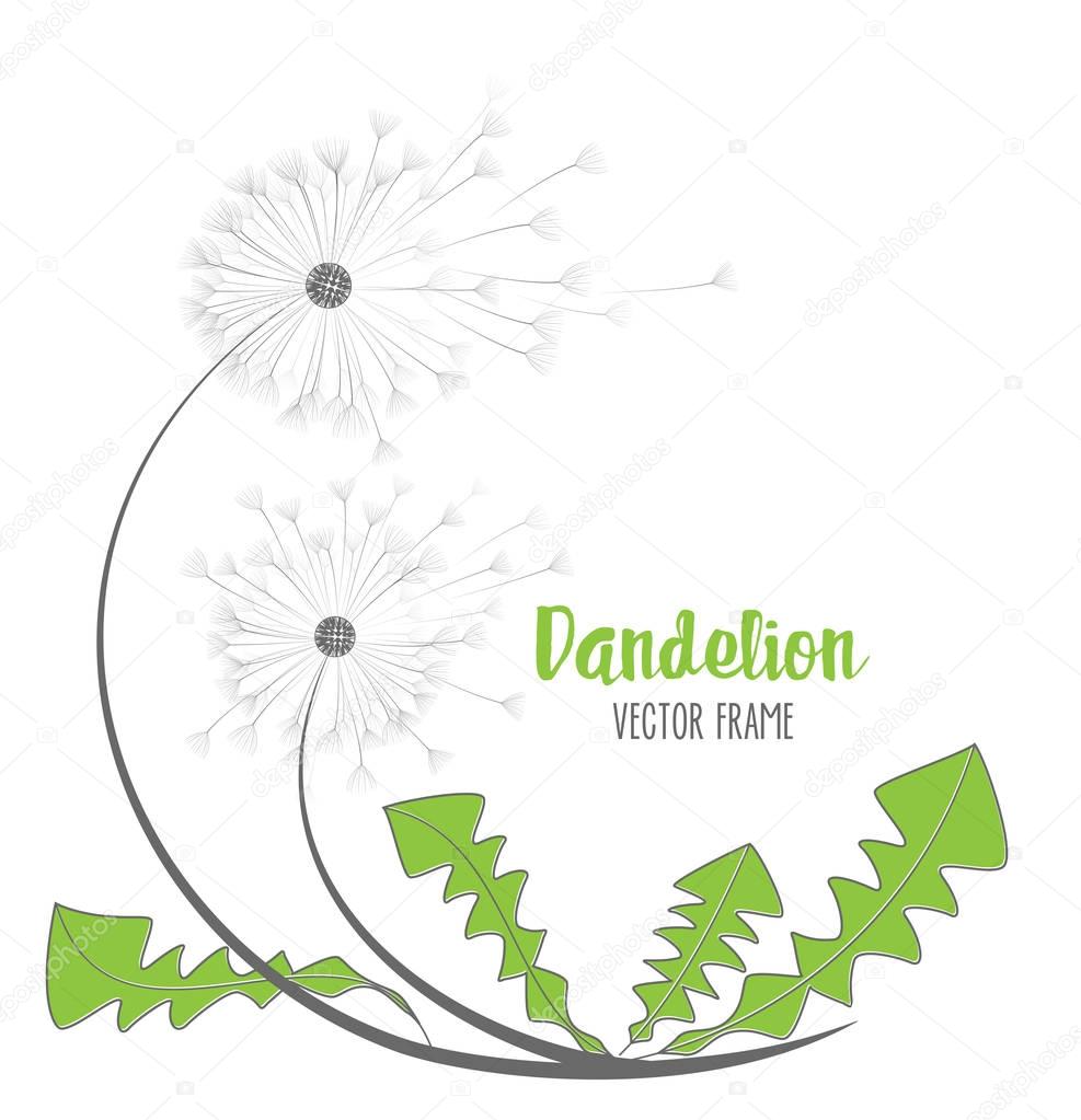 Vector dandelion flower