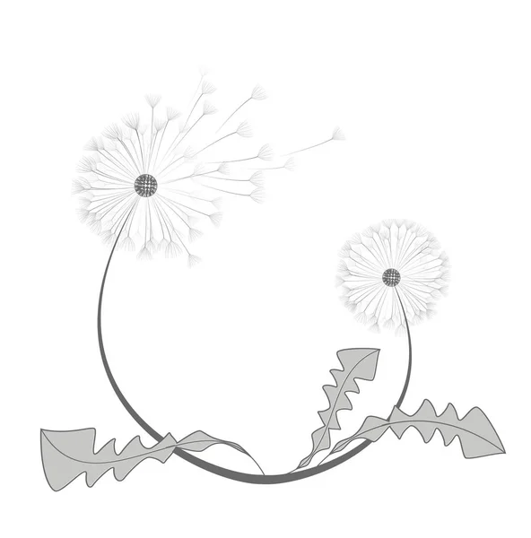 Karahindiba vektör çiçek — Stok Vektör