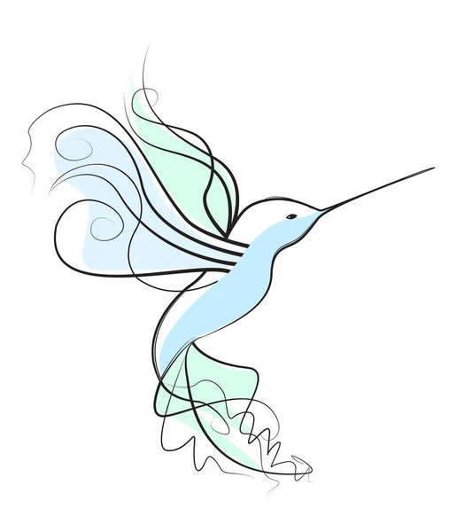 Vector de un colibrí — Archivo Imágenes Vectoriales