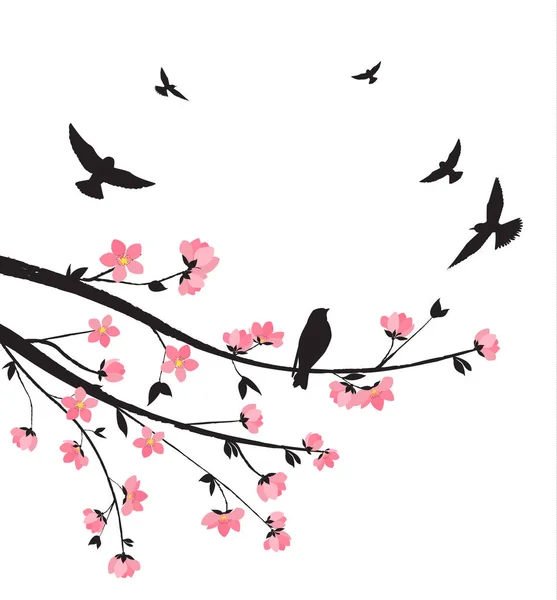 Tavaszi sakura blossom — Stock Vector