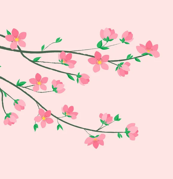 Lente sakura bloesem — Stockvector