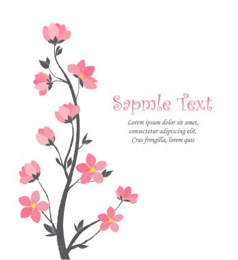 Bahar sakura çiçeği