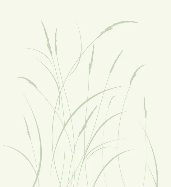 Grass in een weide — Stockvector