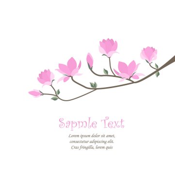 Vektör Manolya çiçek