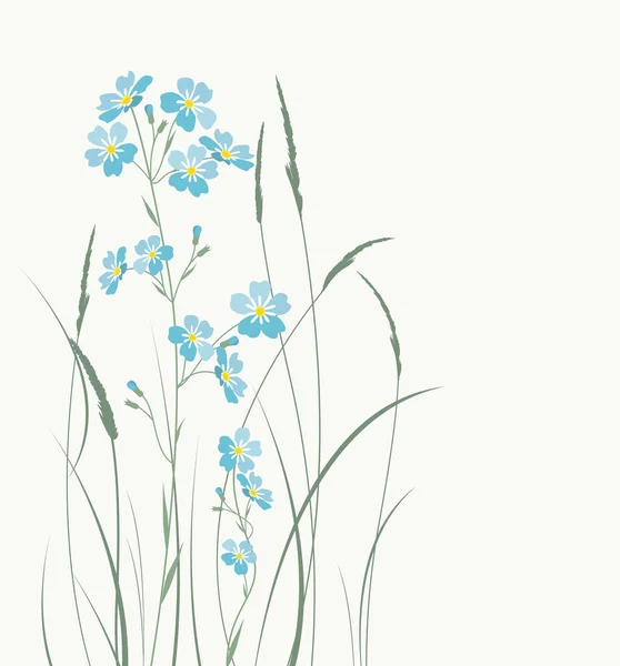 Vector blauw vergeet mij niet bloemen — Stockvector