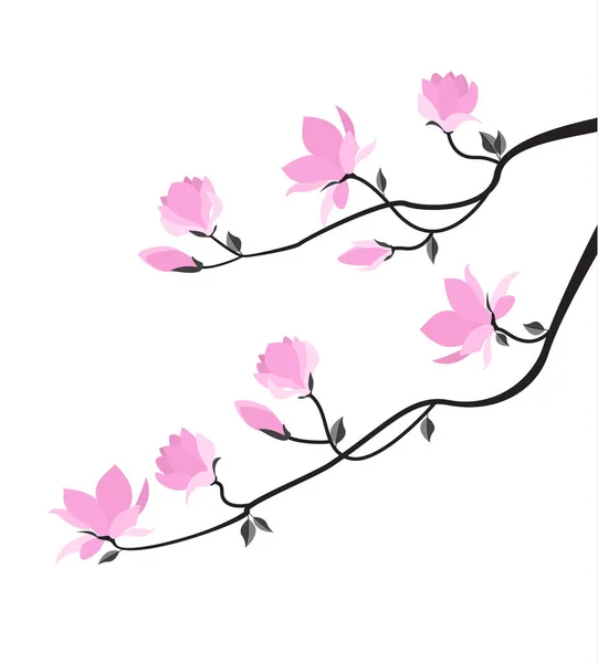 Vector magnolia bloemen — Stockvector