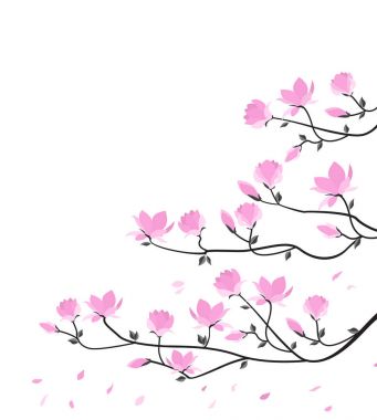 Vektör Manolya çiçek