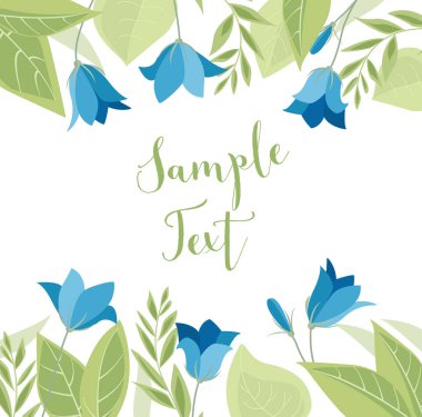 Yaz çiçeği campanula