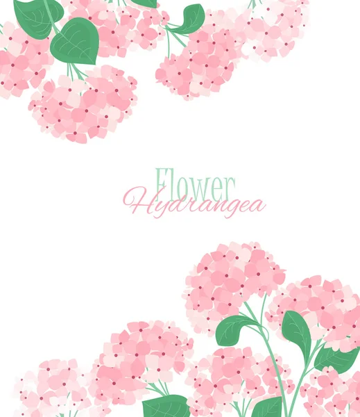 Vektor hortensia blomma — Stock vektor