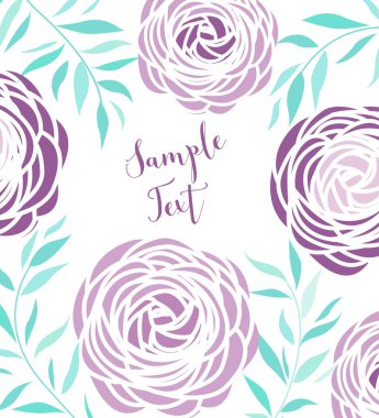 Vektör ranunculus çiçeği