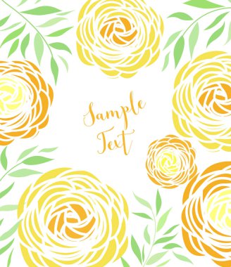 Vektör ranunculus çiçeği