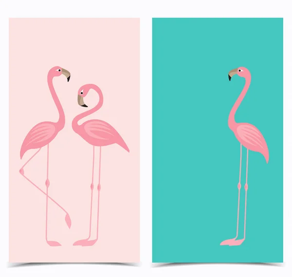 Flamingos de aves tropicais —  Vetores de Stock