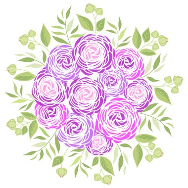 Vektör ranunculus çiçeği