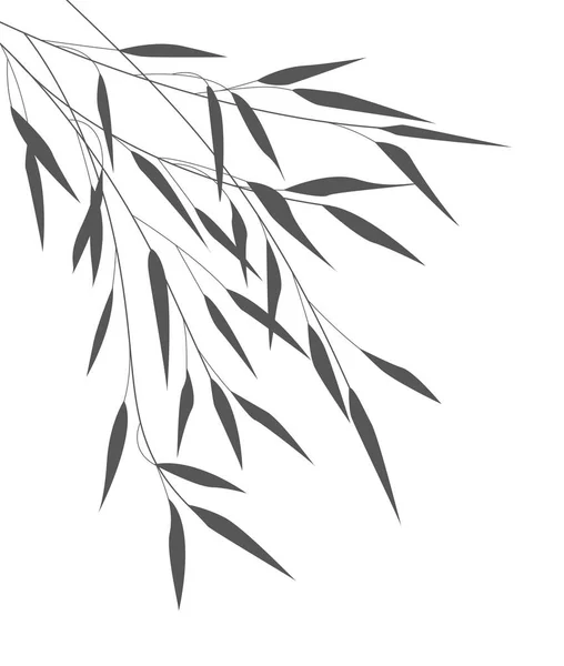 ベクトルの笹の葉 — ストックベクタ