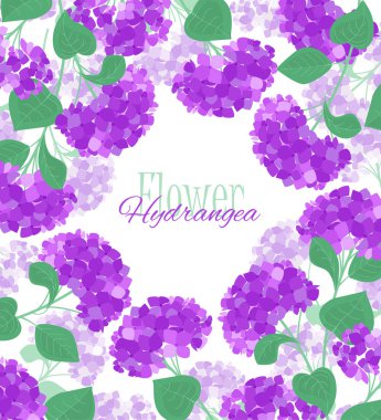 Vektör ortanca çiçek