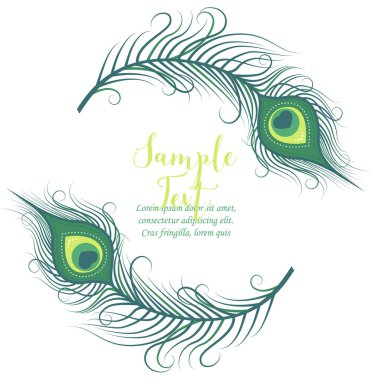 renkli tavus kuşu tüyü