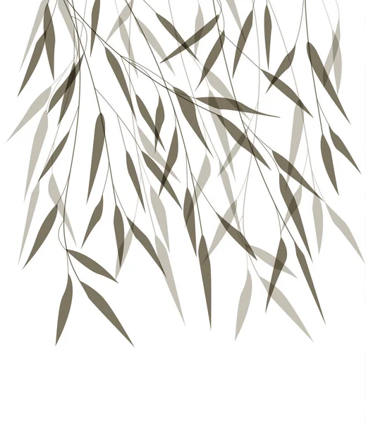 Vector hojas de bambú — Archivo Imágenes Vectoriales