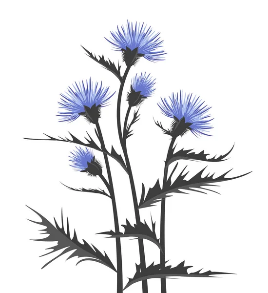 Thistle met bladeren — Stockvector