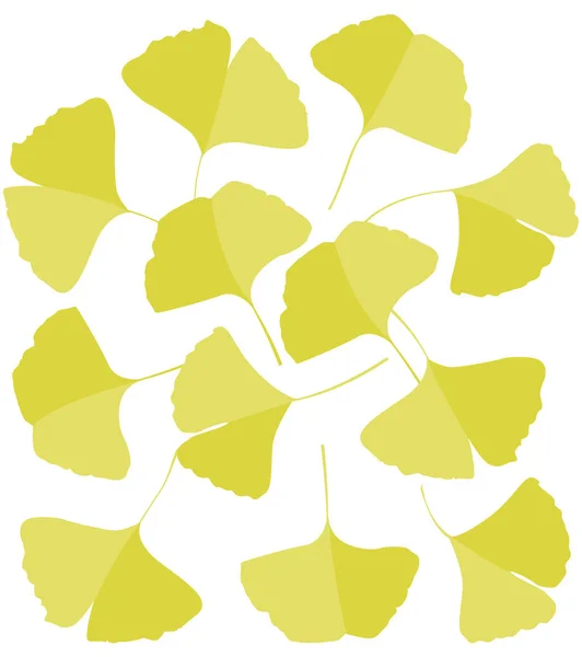 Ginkgo biloba blad — Stock vektor