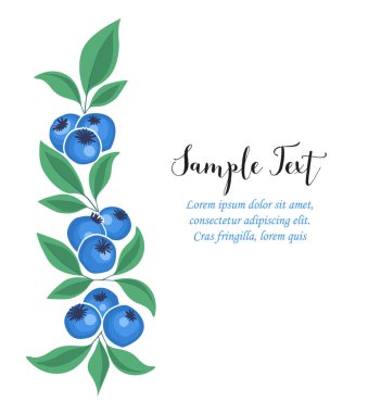 Yaban mersini meyve arka plan