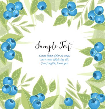 Yaban mersini meyve arka plan